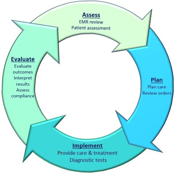 Documentation Process